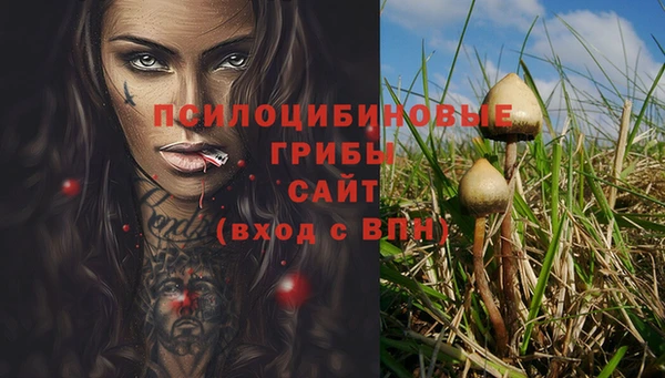 трава Краснотурьинск