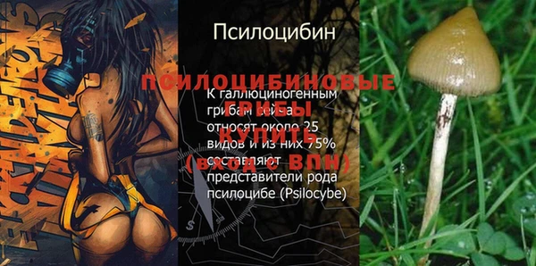 кокс Краснослободск