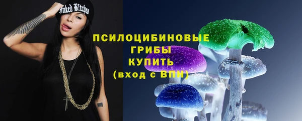 индика Кулебаки
