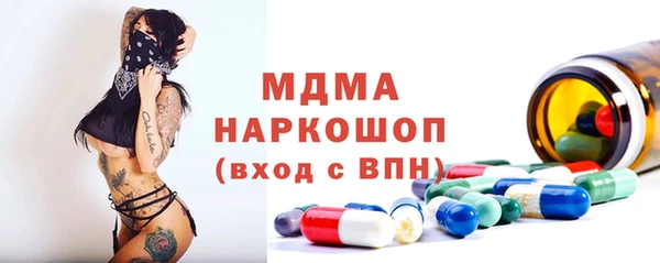 индика Кулебаки