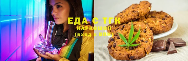 индика Кулебаки