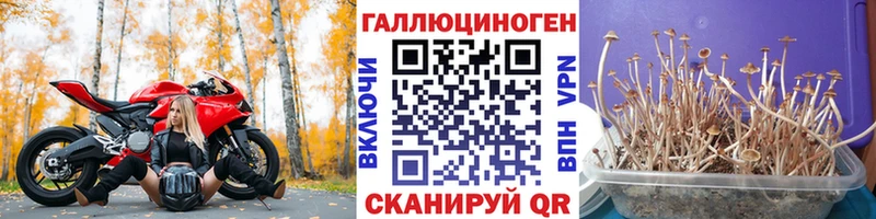 Галлюциногенные грибы прущие грибы  ОМГ ОМГ ссылки  Чулым 