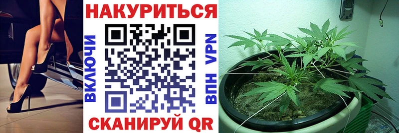 Бошки Шишки план  Чулым 
